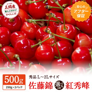 職人が本気で作ったこだわりのさくらんぼ！秋田県三関（みつせ...