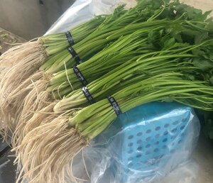 yӂ邳Ɣ[ŁzOփZ 5 HcY  t   { Yn VN ~ Hc 肽ۓ VՂ Z ` yyOւߑԒz[M2601]