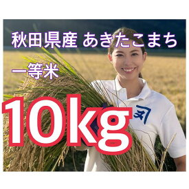 【ふるさと納税】あきたこまち5kg×2個（10kg）[B3-2301]