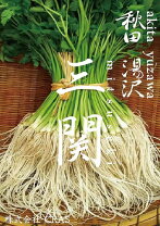 楽天市場】秋田 三関 セリの通販