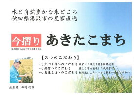 【ふるさと納税】＼美味しい状態でお届け／ 令和7年産 あきたこまち 今摺り 10kg 精米 白米 農家直送 ＼申込後にもみずり・精米 新鮮な状態でお届け／ ふるさと納税 あきたこまち ふるさと納税 米 令和7年 ふるさと 人気 ランキング【由利 稔幸】[H5-12301]