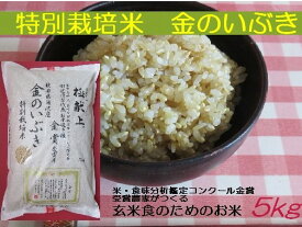 【ふるさと納税】【冷めても美味しい玄米】特別栽培米　金のいぶき5kg[B5-2101]