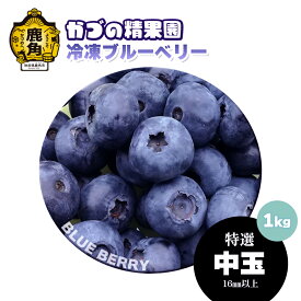 【ふるさと納税】ブルーベリー 特選 中玉 1kg 冷凍 単品 選べる 発送時期 選択 無農薬 新鮮 旬 国産 冷凍 ジュース スムージー レシピ 効能 栄養 ダイエット お取り寄せ 母の日 父の日 グルメ ギフト 故郷 秋田 あきた 鹿角市 鹿角 送料無料 【かづの精果園】