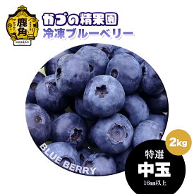 【ふるさと納税】ブルーベリー 特選 中玉 2kg 冷凍 単品 選べる 発送時期 選択 無農薬 新鮮 旬 国産 冷凍 ジュース スムージー レシピ 効能 栄養 ダイエット お取り寄せ 母の日 父の日 グルメ ギフト 故郷 秋田 あきた 鹿角市 鹿角 送料無料 【かづの精果園】