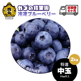 【ふるさと納税】 ブルーベリー 特選 中玉 1kg 2kg 7kg 定期便 冷凍 無農薬 新鮮 旬 国産 冷凍ブルーベリー ジュース スムージー レシピ 効能 栄養 ダイエット お取り寄せ 母の日 父の日 グルメ ギフト 故郷 秋田 あきた 鹿角市 鹿角 送料無料 【かづの精果園】