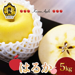 yӂ邳Ɣ[Łzs s\ t  p u ͂邩 v Iׂ 3kg ^ 5kg  p ь S ݂݂ ʏ` S n  { Y  Ε 蕨 