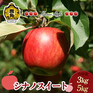 yӂ邳Ɣ[Łzs s\ t  p u VimXC[g v Iׂ 3kg ^ 5kg S ь p ʏ` n { Y  Ε 蕨  O Mtg ̋ 