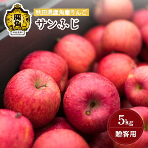 【ふるさと納税】《 先行予約 》 りんご 贈答用 サンふじ 5kg ( 14〜23玉 ) 秋田県 鹿角産 りんご 食感 果汁 リンゴ 完熟 旬 県産 りんご 林檎 お中元 お歳暮 贈り物 グルメ ギフト 故郷 秋田 あき