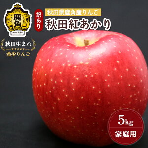 yӂ邳Ɣ[Łzs s\ t  󂠂 Hcg 5kg ( 13`18ʓ ) p ƒp H ʏ` S n { Y   Ε 蕨 O Mtg ̋ Hc 