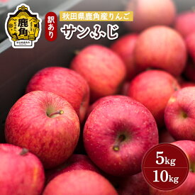 【ふるさと納税】 りんご 訳あり サンふじ 5kg / 10kg 鹿角りんご 家庭用 食感 果汁 リンゴ 完熟 旬 県産 りんご お中元 お歳暮 贈り物 グルメ ギフト 故郷 秋田 あきた 鹿角市 鹿角 送料無料 【山麓園】