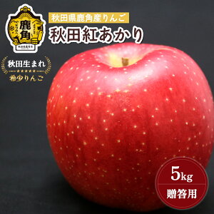 yӂ邳Ɣ[Łzs s\ t  p Hcg 5kg ( 13`18ʓ ) p H ʏ` S n { Y   Ε 蕨 O Mtg ̋ Hc  p