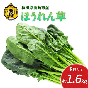 yӂ邳Ɣ[Łzs s\ t ق  1.6kg VN { ΉF zE\E uߕ Ђ S Â ̂ꂽ Y  O Mtg  Ε Hc  