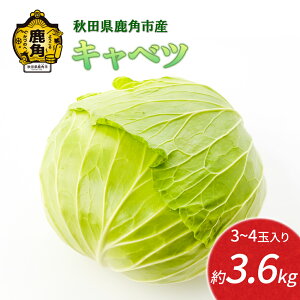 yӂ邳Ɣ[Łzs s\ tLxc  3.6kg VN { Yn S Â ̂ꂽ Y  O Mtg  Ε Hc  ps p Hc pY  