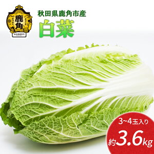 yӂ邳Ɣ[Łzs s\ t   3.6kg VN {  V`[ S Â ̂ꂽ Y  O Mtg  Ε Hc  ps p Hc pY  