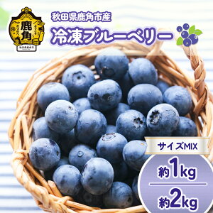 yӂ邳Ɣ[ŁzⓀ u[x[ Iׂ  1kg / 2kg ( TCYMIX ) { Yu[x[ Yu[x[  Ε  ̓ ̓ O Mtg ̋ Hc  ps 