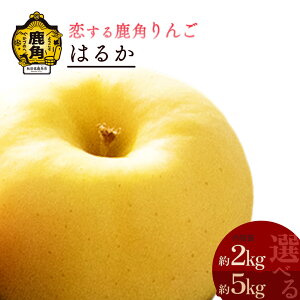 yӂ邳Ɣ[Łz s s\ t Hc pY  ͂邩 2kg 5kg Â̂ H ʏ` ς S n { Y  Ε 蕨 O Hc  ps p G 