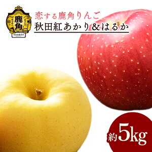 yӂ邳Ɣ[Łzs s\ t p  Hcg & ͂邩 5kg lߍ킹 Â̂ H ʏ` ς S n { Ε 蕨  O Mtg ̋ Hc 