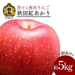 yӂ邳Ɣ[Łzs s\ t  󂠂 Hcg ƒp  5kg Â̂ H ʏ` ς S n {  ь  Ε 蕨  O Mtg ̋ 