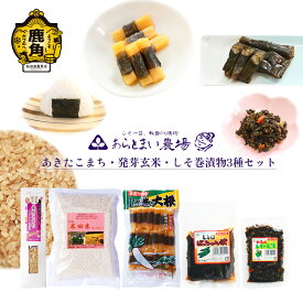 【ふるさと納税】 あきたこまち・発芽玄米・しそ巻漬物3種セット 詰め合わせ 漬物 ご飯のお供 おかず 米 お米 おこめ 県産米 国産米 生活 応援米 お中元 お歳暮 新生活 グルメ ギフト 故郷 秋田 あきた 鹿角市 鹿角 送料無料 【あらとまい農場】