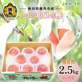 【ふるさと納税】《 先行予約 》令和8年産 JA 桃 かづの北限の桃 約 2.5kg ( 6〜8玉 ) 贈答用 桃 光センサー もも モモ 甘い 果物 フルーツ くだもの グルメ お取り寄せ 人気 ランキング お中元 お歳暮 ギフト 故郷 秋田 あきた 鹿角市 鹿角 送料無料 【JAかづの】