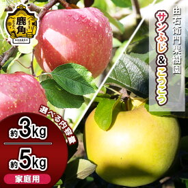 【ふるさと納税】 《 先行予約 》 由右衛門果樹園 りんご 家庭用 「 サンふじ & こうこう 」 約 3kg / 約 5kg 詰め合わせ セット 果汁 リンゴ 完熟 お中元 お歳暮 贈り物 グルメ 秋田 あきた 鹿角市 鹿角 送料無料 【由右衛門果樹園】●2025年11月下旬発送開始