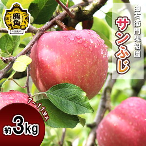 yӂ邳Ɣ[Łzs s\ tREqʎ  u Tӂ v 3kg ( 7`11 ) H ʏ` S n  Ε 蕨  O Mtg ̋ Hc  ps p 