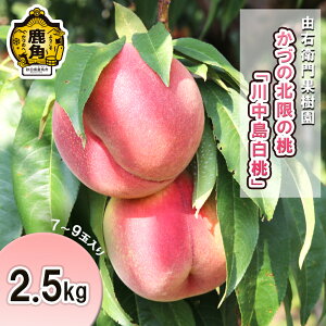 yӂ邳Ɣ[Łz  Â̖k̓ 쒆  2.5kg ( 7`9 ) ~  j  n Y  Ε O Mtg ̋ Hc  ps p  yRE