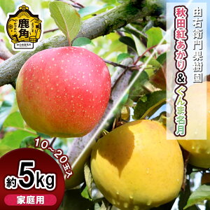 yӂ邳Ɣ[Łzs s\ tREqʎ  ƒp u Hcg & ܖ v 5kg ( 10`20 ) HcY { H ʏ` S lߍ킹 Hה Zbg O Mtg H