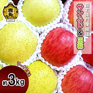 yӂ邳Ɣ[Łz s s\ t REqʎ  u Tӂ &  v 3kg ( 7`11ʓ ) H ʏ` S n  Ε 蕨  O Mtg ̋ Hc  p