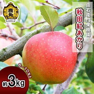 yӂ邳Ɣ[Łzs s\ tREqʎ  u Hcg v 3kg i 6`10 jY { H ʏ` S n  Ε 蕨  O Mtg ̋ Hc  