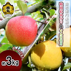 yӂ邳Ɣ[Łzs s\ tREqʎ  u Hcg & ܖ v 3kg ( 6`10 ) HcY { H ʏ` S lߍ킹 Hה Zbg 蕨 O Mtg H