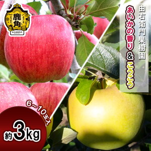 �y�ӂ邳�Ɣ[�Łz�R�E�q��ʎ��� ��� �u �������̍��� & �������� �v ��3kg �i6�`10�ʁj �l�ߍ��킹 �Z�b�g �ʏ` ���n ������ ������ ���Ε� ���蕨 �O���� �H�c ������ ���p�s ���p ������