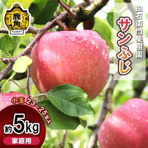 �y�ӂ邳�Ɣ[�Łz �R�E�q��ʎ��� ��� �ƒ�p �u �T���ӂ� �v���� ��5kg �i 23�`25�� �j ��� �����S �󂠂� ���n �{ ���Y��� ������ ���Ε� �O���� �M�t�g �̋� �H�c ������ ���p�s ��