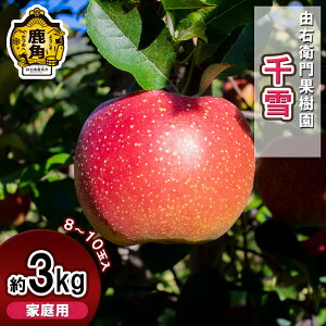 yӂ邳Ɣ[Łzs s\ t REqʎ  ƒp u  v 3kg ( 8`10 ) H ʏ` S n  Ε 蕨 O Hc  ps p   y