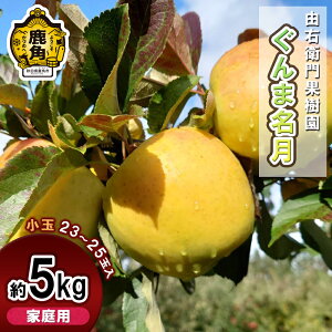 yӂ邳Ɣ[Łz REqʎ  ƒp u ܖ v 5kg i 23`25 j  S 󂠂 n { Y  Ε O Mtg ̋ Hc  ps 