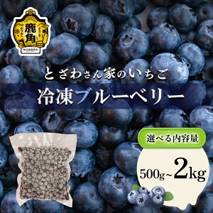 yӂ邳Ɣ[Łz pY Ⓚ u[x[ 1 500g ( TCYMIX ) Iׂ e 500g`2kg { Y Yu[x[ ^ ^pbN   ̓ ̓ O Mtg ̋