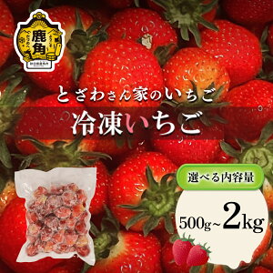 yӂ邳Ɣ[Łz pY Ⓚ  1 500g Iׂ e 500g`2kg { Y Y Y   C`S ^ ^pbN   Ε  ̓ ̓ 