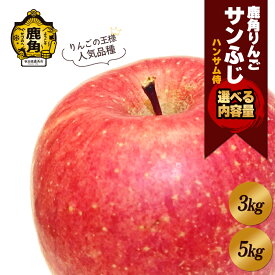 【ふるさと納税】 ハンサム侍 りんご 秀品 「 サンふじ 」 3kg / 5kg リンゴ 林檎 フルーツ グルメ ギフト 故郷 秋田 あきた 鹿角市 鹿角 送料無料 【ハンサム侍】
