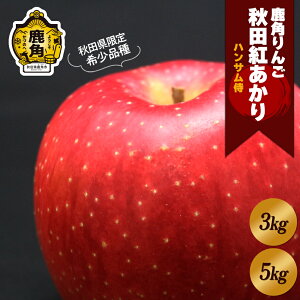 yӂ邳Ɣ[Łzs s\ t nT  󂠂 u Hcg v 3kg / 5kg S ь t[c O Mtg ̋ Hc  ps p  ynTz