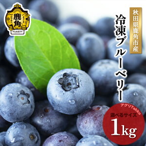yӂ邳Ɣ[Łzߘa7NY Ⓚu[x[ HcpY 1kg ( 500g × 2 )   TCYMIX VN u[x[ Ⓚ HcY Yu[x[  Ε  O Mtg