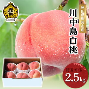 yӂ邳Ɣ[ŁzpY  u 쒆 v Iׂ   2.5kg p Ǖi    ~  j  Y  Ε 蕨 O Mtg ̋ Hc 