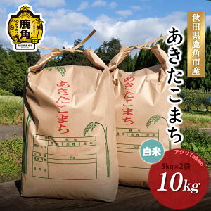 yӂ邳Ɣ[Łzs s\ t  ߘa7NY HcY ܂  10kg ( 5kg × 2 )   ͂  Y Y  Ε  O Mtg ̋ Hc  p