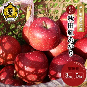 yӂ邳Ɣ[Łzs s\ t  󂠂 p Hcg ƒp 3kg / 5kg Hc g ʌ S n { Y  Ε O Mtg ̋ Hc  