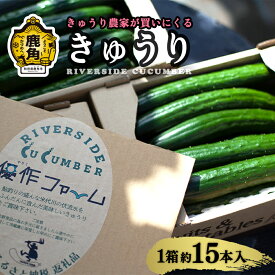 【ふるさと納税】 《 先行予約 》令和8年産 野菜ソムリエサミット 銀賞 2年 連続 受賞 リバーサイド きゅうり 1箱約15本入り 選べる内容量 秋田県鹿角産 新鮮 旬 安全 採れたて 胡瓜 国産野菜 お取り寄せ グルメ ギフト 秋田 あきた 鹿角市 鹿角 送料無料 【優作ファーム】