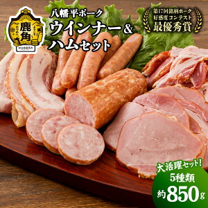 yӂ邳Ɣ[Łz|[N ECi[ & nZbg v 850g 5 lߍ킹 ؓ  e ECi[ n T~ x[R Zbg  Yؓ Ε ̓ ps 