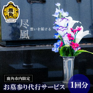 yӂ邳Ɣ[ŁzQsT[rX 1 ps Q s T[rX | ~ A Ԃ܂ florist hanaman Ԗ Hc Hc  ps p Â Hcps yFlori