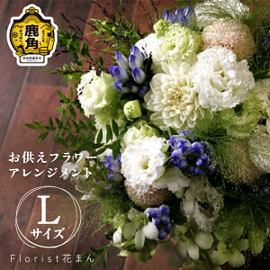 yӂ邳Ɣ[Łzt[AWg AWiLFH30cm×W25cmj t[AWg bZ[W J[h Iׂ    CeA ~ ފ i v[g 蕨 