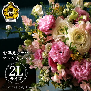 yӂ邳Ɣ[Łzt[AWg AWi2LFH30cm×W30cmj t[AWg bZ[W J[h Iׂ    CeA ~ ފ i v[g 蕨