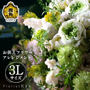 yӂ邳Ɣ[Łzt[AWg AWi3LFH32cm×W32cmj t[AWg bZ[W J[h Iׂ    CeA ~ ފ i v[g 蕨
