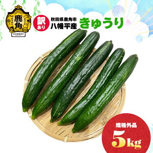 yӂ邳Ɣ[Łz󂠂 HcpsY KiO イ IׂTCY 2kg / 5kg / 5kg  p KiO LE  Ė VN { H׍ lߍ킹   O Mt